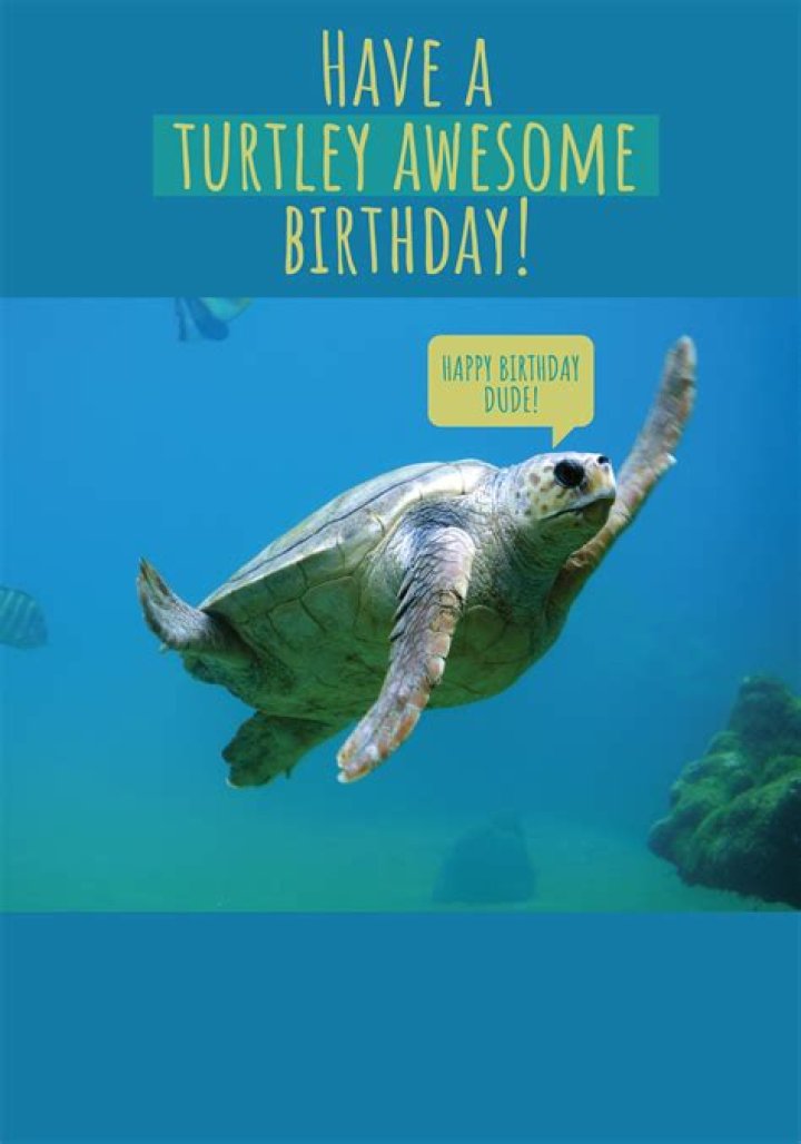 10 Things One Direction Will Do on Their Extended Hiatus