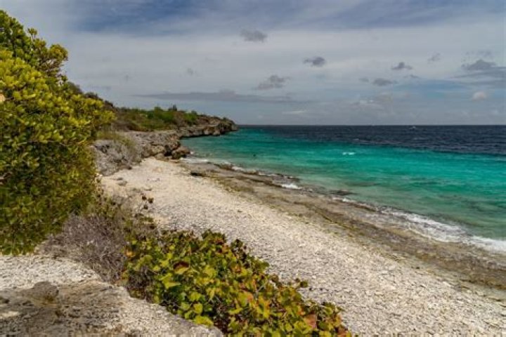 12 Best Beaches in Bonaire