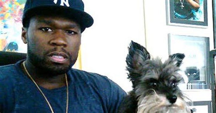 50 Cent Pets - Celebrity Pets