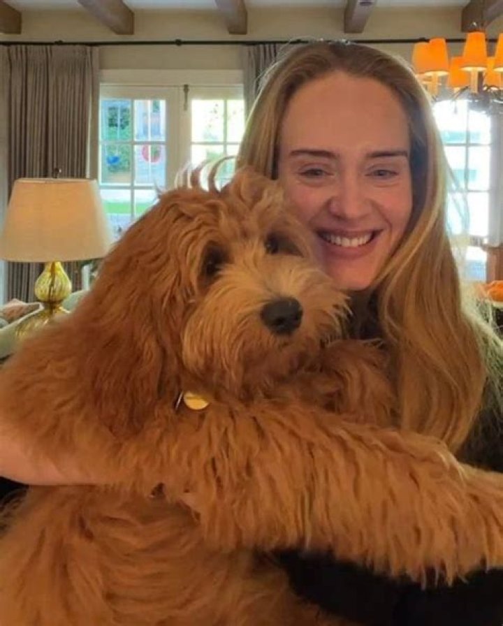 Adele Pets - Celebrity Pets