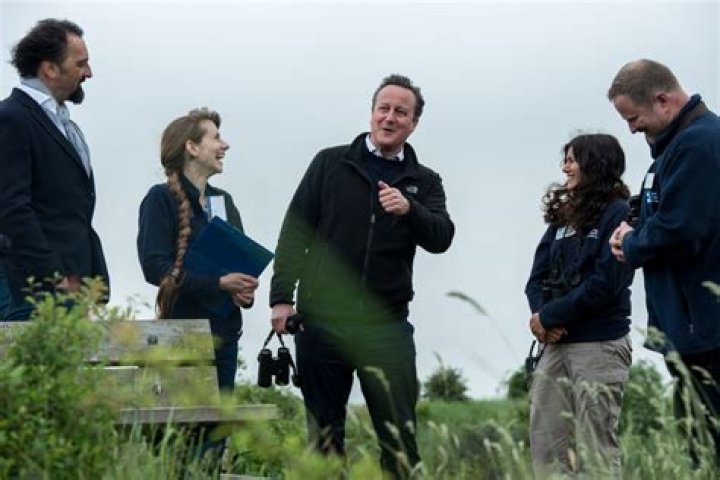 Alistair McGowan Net Worth - Wiki, Age, Weight and Height, Relationships, Family, and More