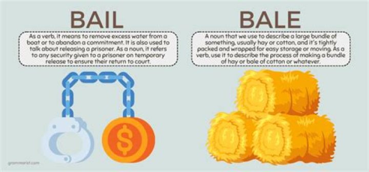 Bale out on bail, there are no charges against him at this time