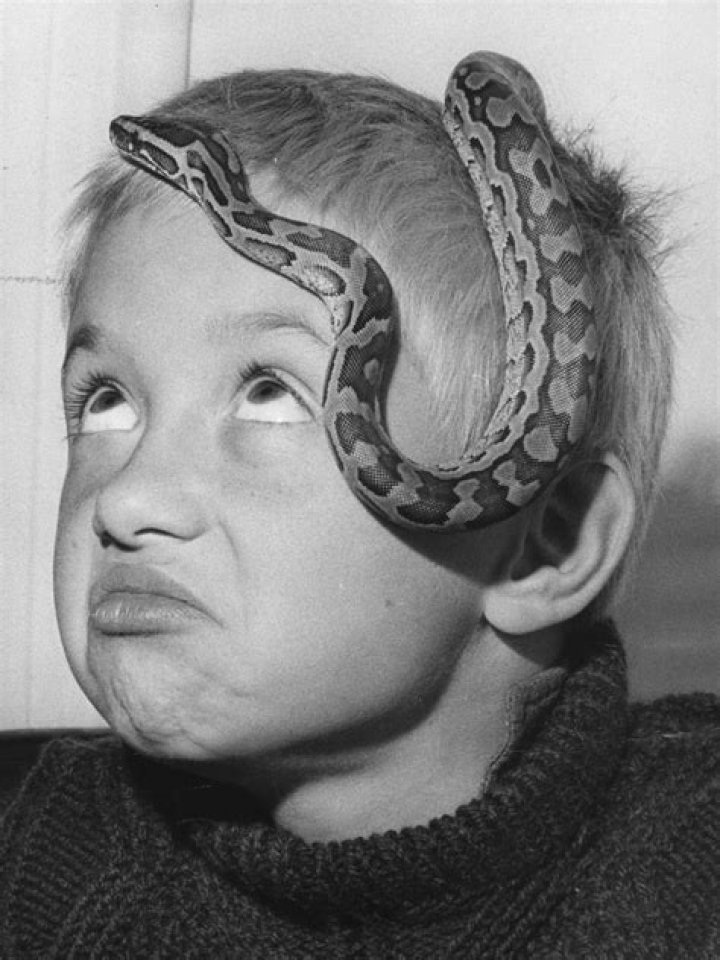 Barry Miller Net Worth - Wiki, Age, Weight and Height, Relationships, Family, and More