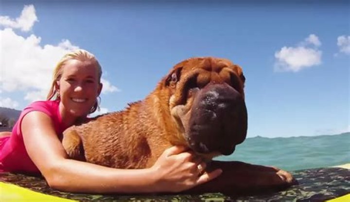 Bethany Hamilton Pets - Celebrity Pets