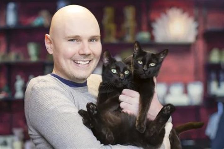 Billy Corgan Pets - Celebrity Pets