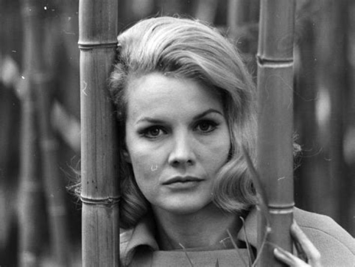 Carroll Baker Net Worth - Wiki, Age, Weight and Height, Relationships, Family, and More