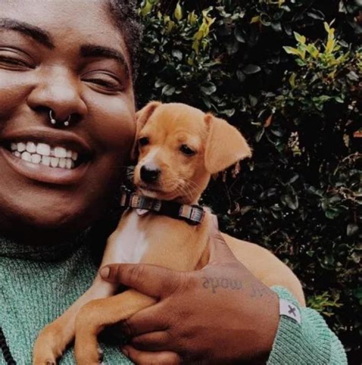 Chika Pets - Celebrity Pets