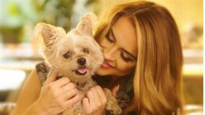 Chrishell Stause Pets - Celebrity Pets