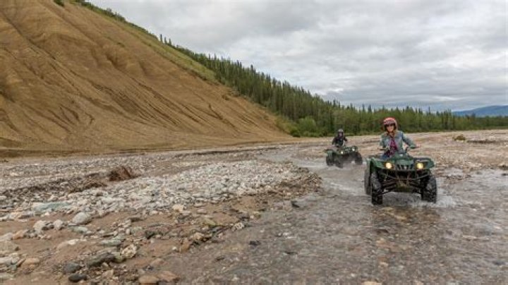 Denali Excursions & Activities on a Cruisetour