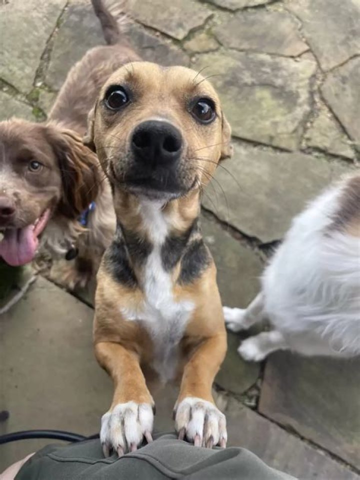 From Street Mom To Shelter Mom: Mama Kerry’s Incredible Transformation