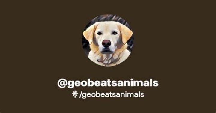 GeoBeats Animals Youtuber overview