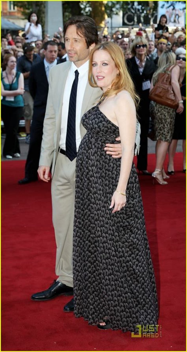 Gillian Anderson is pregnant – just after leaving her husband