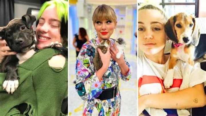 Grammy Awards 2024: Meet the Winners’ Pets!