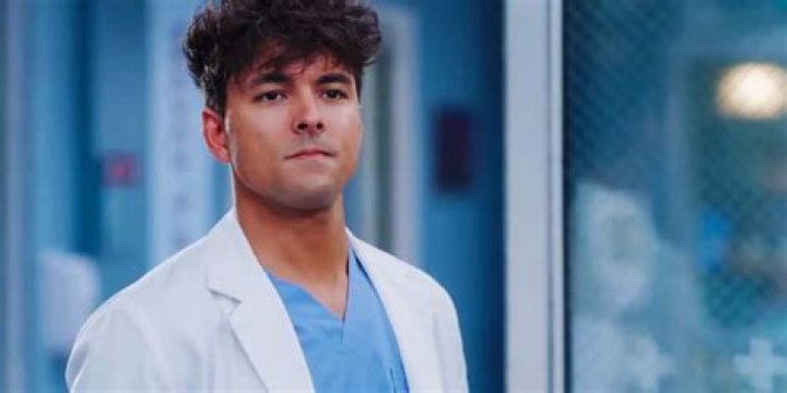 Grey's Anatomy star Niko Terho age, height, Instagram, and more