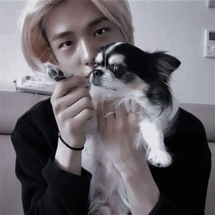 Hyunjin Pets - Celebrity Pets