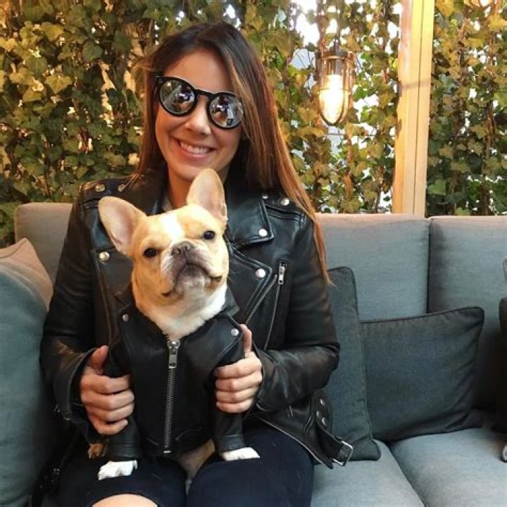 Instagram celeb Chloe the Mini-Frenchie is half the size, twice as cute