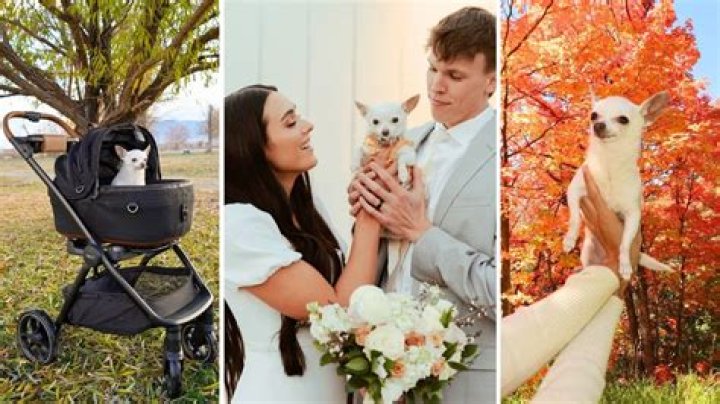 Interview With Madi the Chi and Serena of the Stadler Fam – Focusing On Mental Health, Fashion, and Fun!