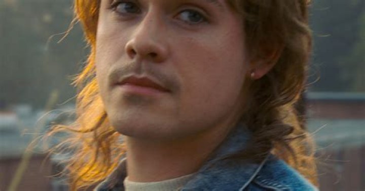 Is Dacre Montgomery in Stranger Things season 4 as Billy? (spoilers)