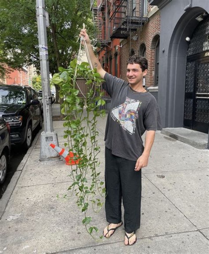 Jake Goldberg Pets - Celebrity Pets