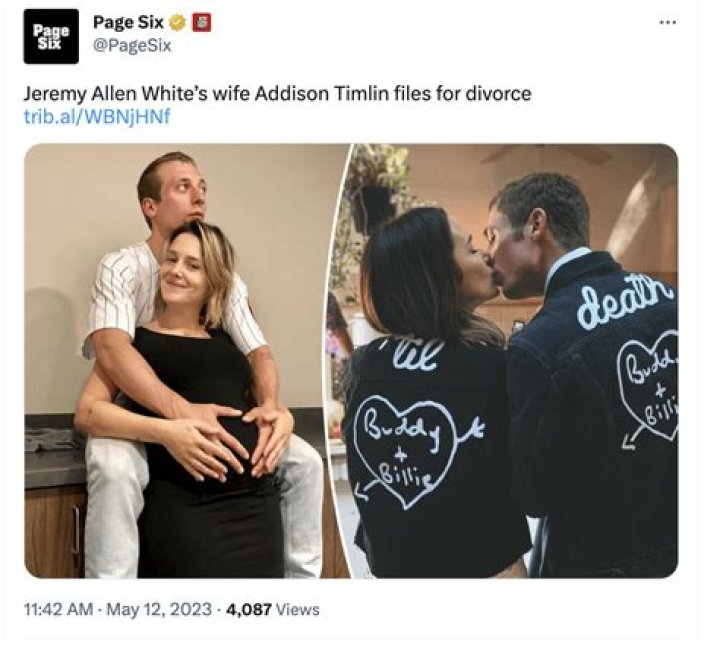 Jeremy Allen White’s wife, Addison Timlin, filed for divorce after 3 years of marriage