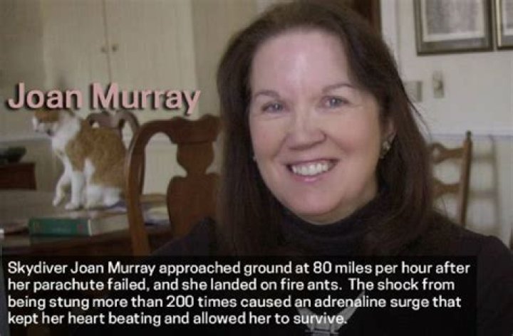 Joan Murray Skydiver Accident Survivor Story, Where Is She Now?
