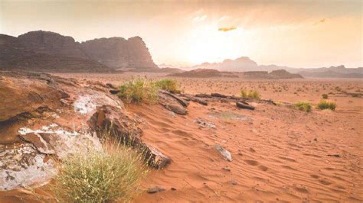 Jordan Cruise: Best Cruises to Aqaba Jordan