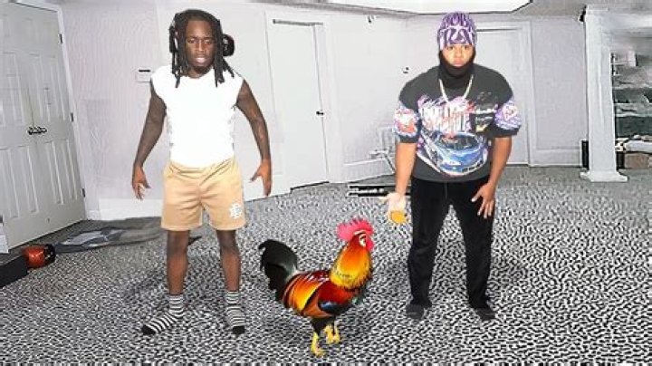 Kai Cenat Pets - Celebrity Pets