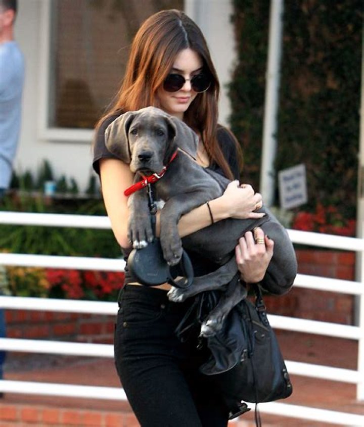 Kendall Jenner Pets - Celebrity Pets
