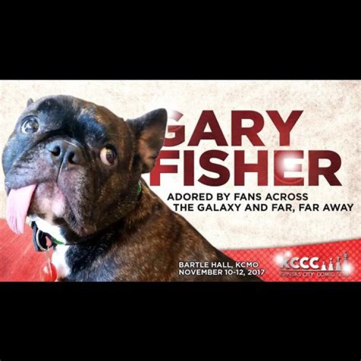 Late Star Wars star Carrie Fisher’s French Bulldog Gary is the center of a celeb dispute