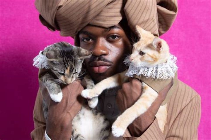 Lil Nas X adopts two kittens: ‘I’m the father who stepped up’