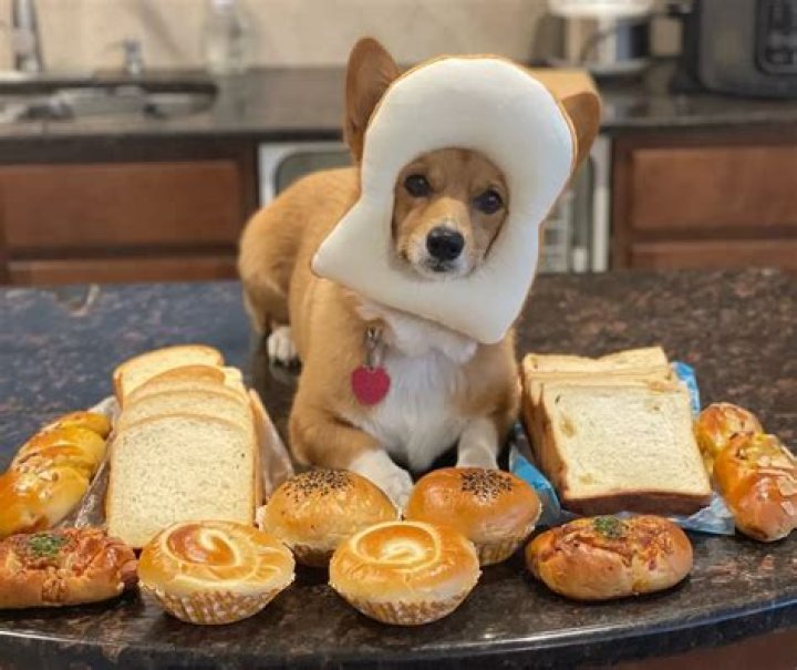 Lilo The AirCorg: A Trick Shot Master and Unrivaled Babysitter