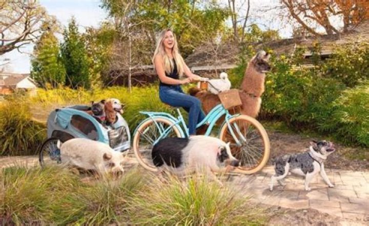 Living With Pickles: A Surfing Painting Therapy Pig With a Rescue Animal Family