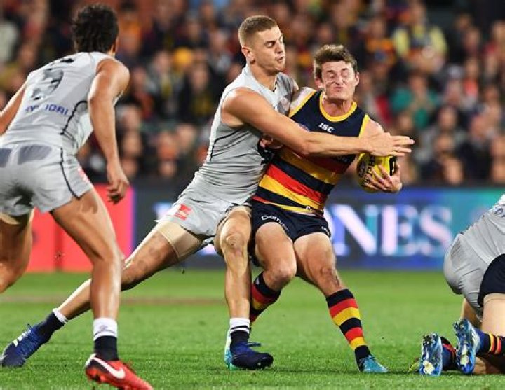 Matt Crouch Net Worth - Wiki, Age, Weight and Height, Relationships, Family, and More