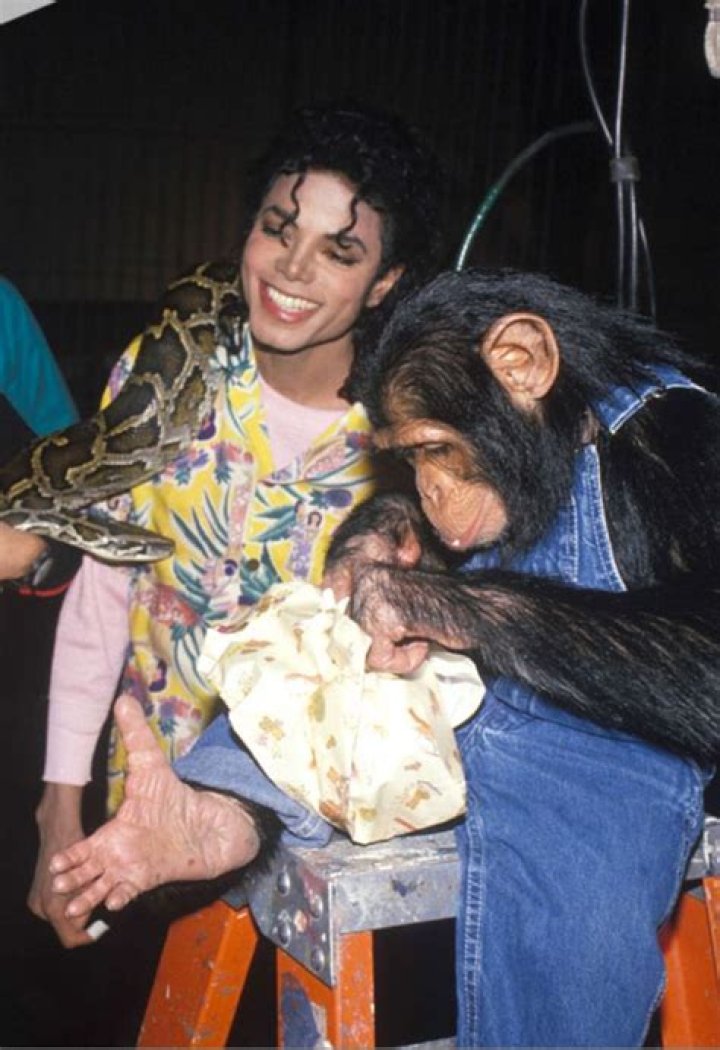Michael Jackson sent his chimpanzee Bubbles to party with Bon Jovi - 'He partied like a rockstar'