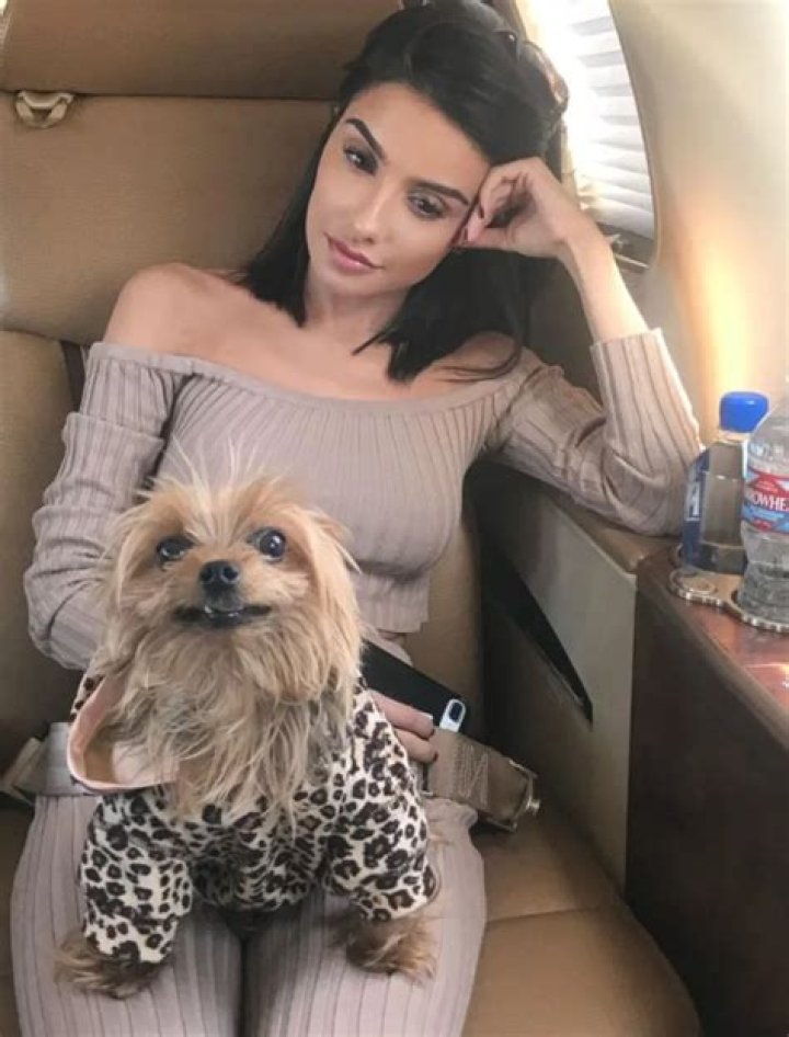 Mikaela Mehrizi Hoover Pets - Celebrity Pets