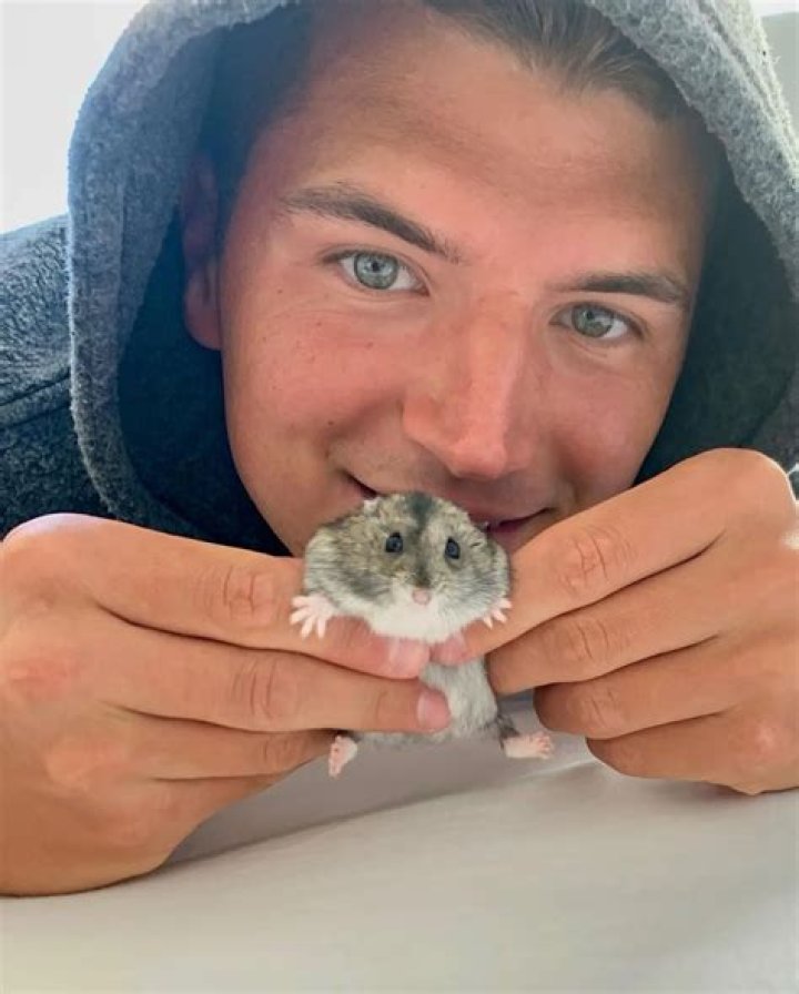 Nick DiGiovanni Pets - Celebrity Pets