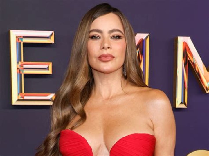 Nick Loeb lost in court yet again as he continues to harass Sofia Vergara