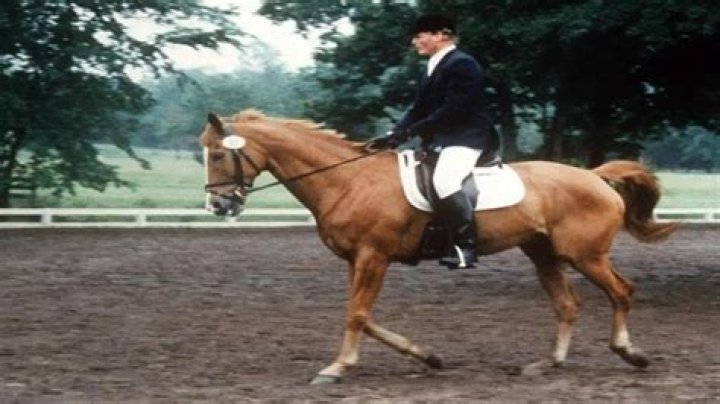 Nip/Tuck star blames Christopher Reeve for his horseriding accident