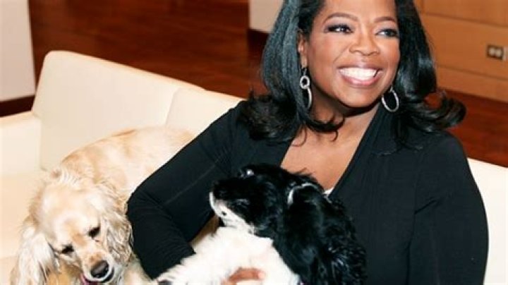 Oprah Winfrey leaves her dogs $30 mil, gives Stedman $250 mil for split