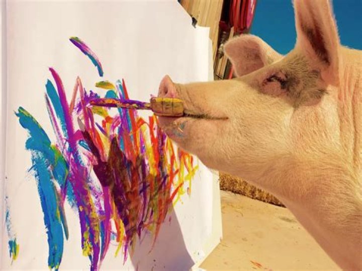 Pigcasso the Pig Paints to Support her Farm Sanctuary