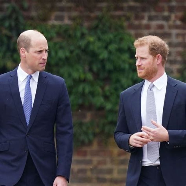Prince Harry is Ready to Become a U.S. Citizen