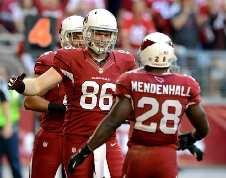 Rashard Mendenhall Net Worth - Wiki, Age, Weight and Height, Relationships, Family, and More