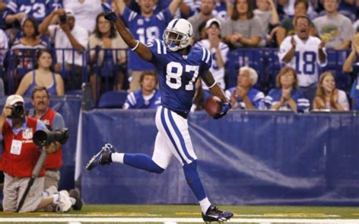 Reggie Wayne Net Worth - Wiki, Age, Weight and Height, Relationships, Family, and More