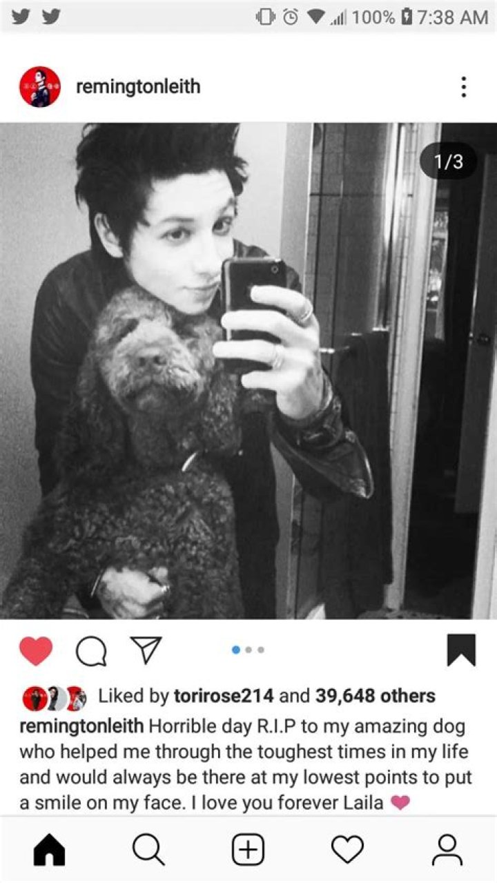 Remington Leith Pets - Celebrity Pets