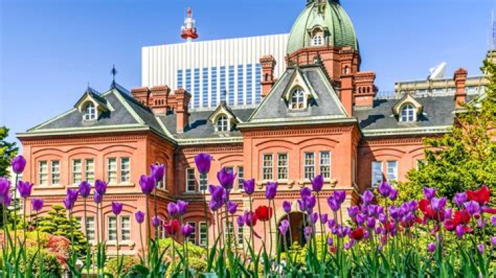 Sapporo Cruise: Best Cruises to Sapporo