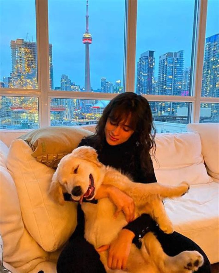 Shawn Mendes is upset that Camila Cabello got custody of their dog