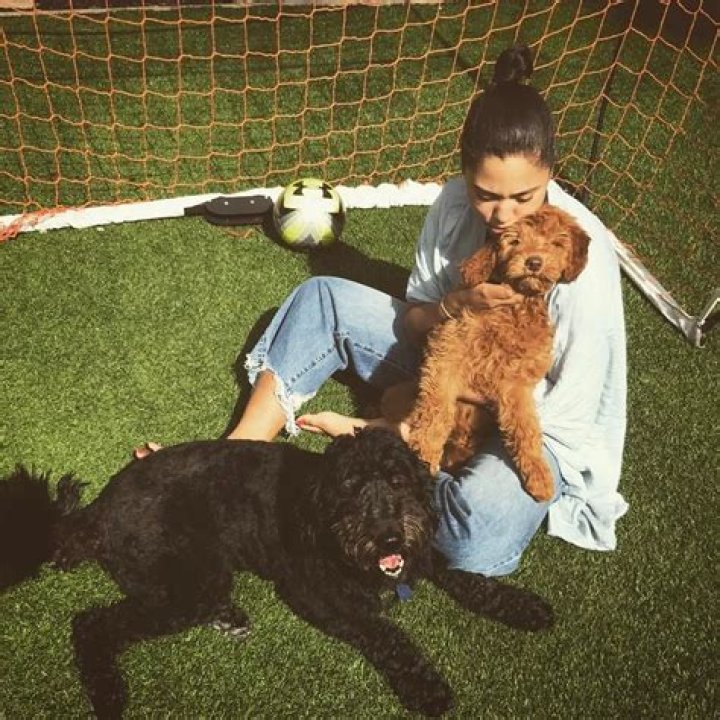 Steph Curry Pets - Celebrity Pets