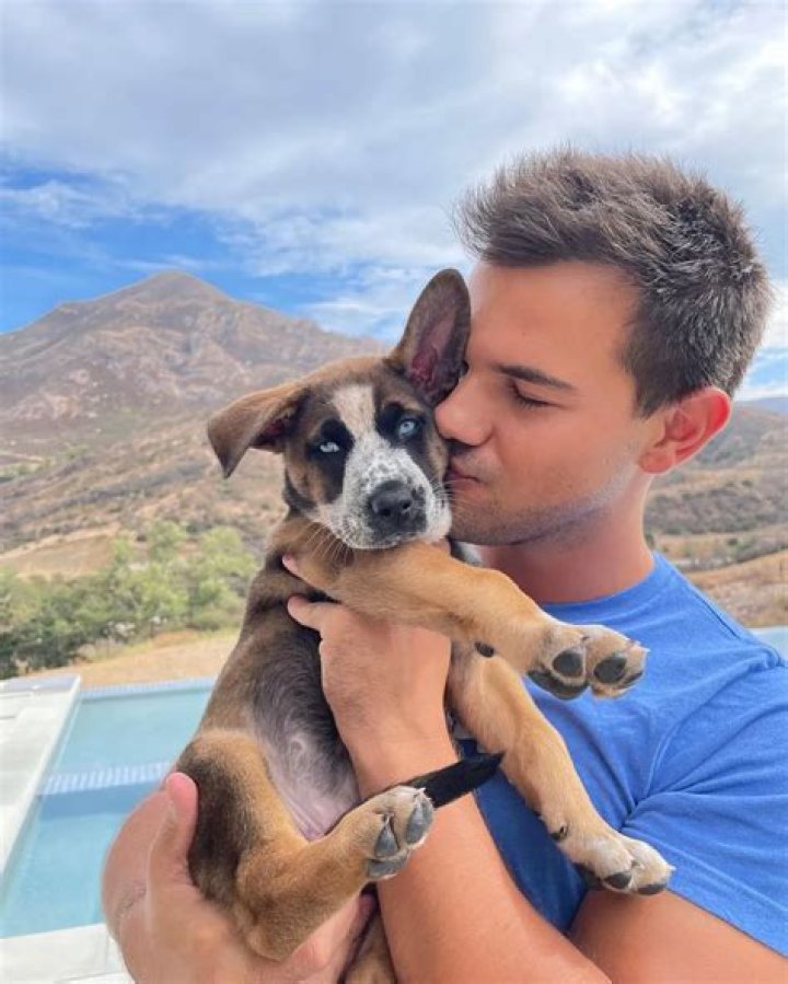 Taylor Lautner Pets - Celebrity Pets