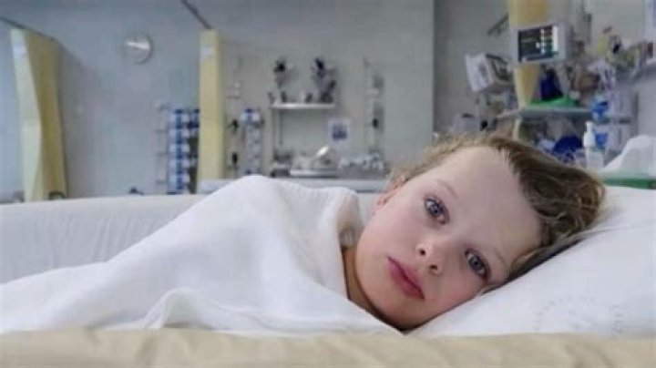 The Norris Nuts' Disco Norris Had an Unusual Birth & Name Choosing Process