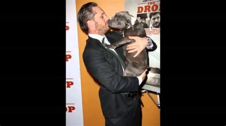 Tom Hardy kissed a pit bull puppy on the mouth at a premiere: cute or gross?
